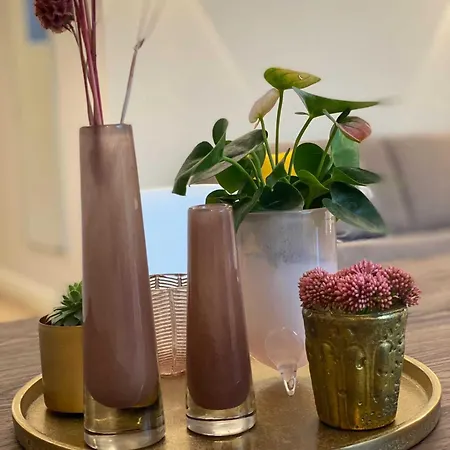 Driehof Lifestyle Classic 2 * טקלנבורג