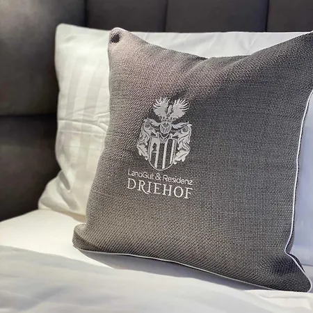 Отель Driehof Lifestyle Classic 2 Текленбург