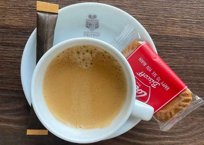 Hotel Driehof Lifestyle Classic 2 *