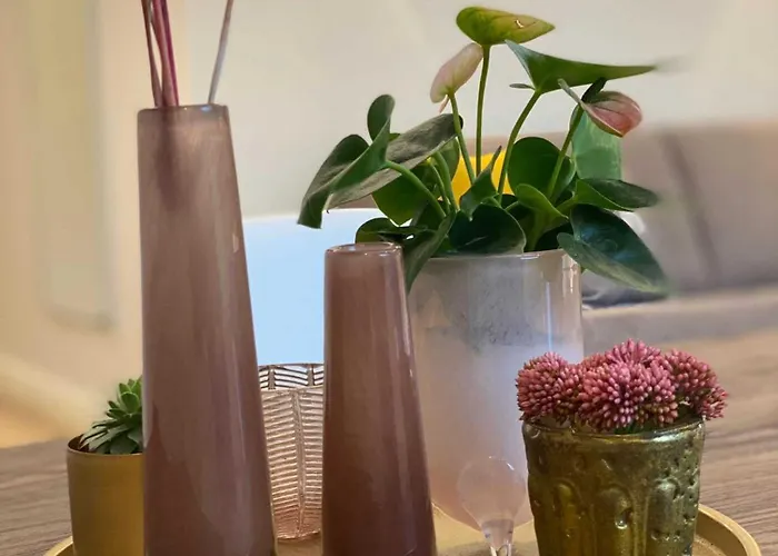 Driehof Lifestyle Classic 2 * Tecklenburg