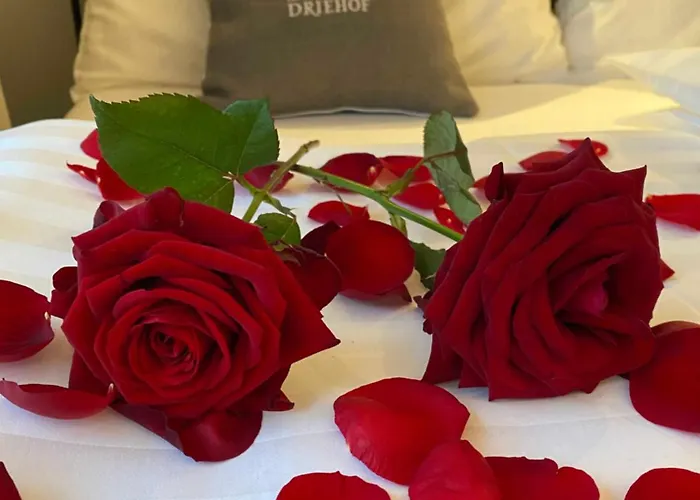 Driehof Lifestyle Classic 2 Hotel